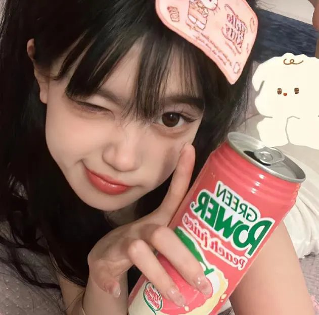 美人记·昭君