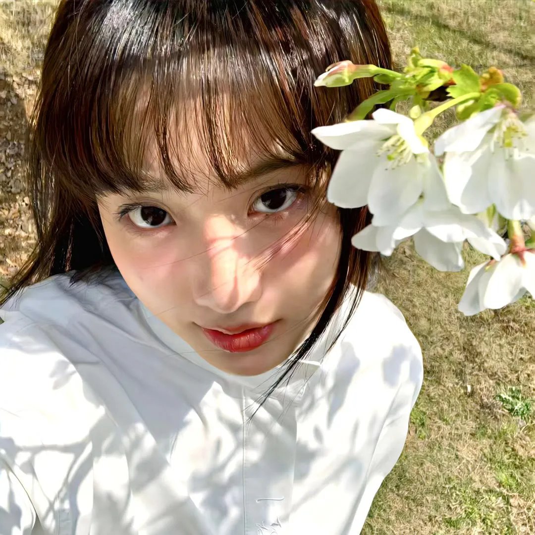 樱花任务